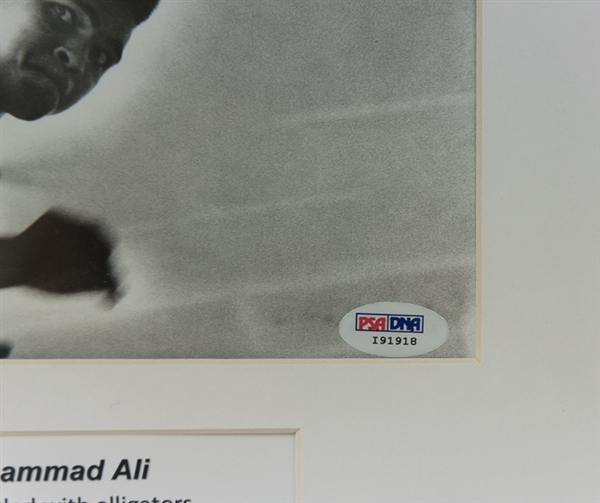 Muhammad Ali Matted/Framed Signed Image (PSA/DNA LOA)