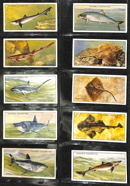 1935 John Player & Sons Sea Fishes Complete 50 Card Set
