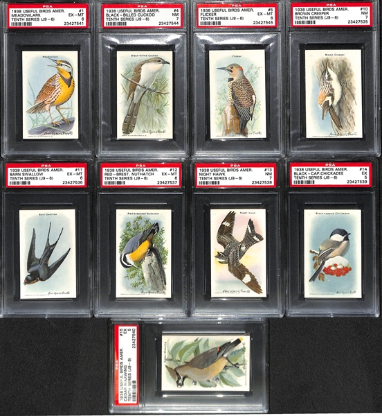 Lot of 9 1938 Useful Birds Of America PSA Graded Cards