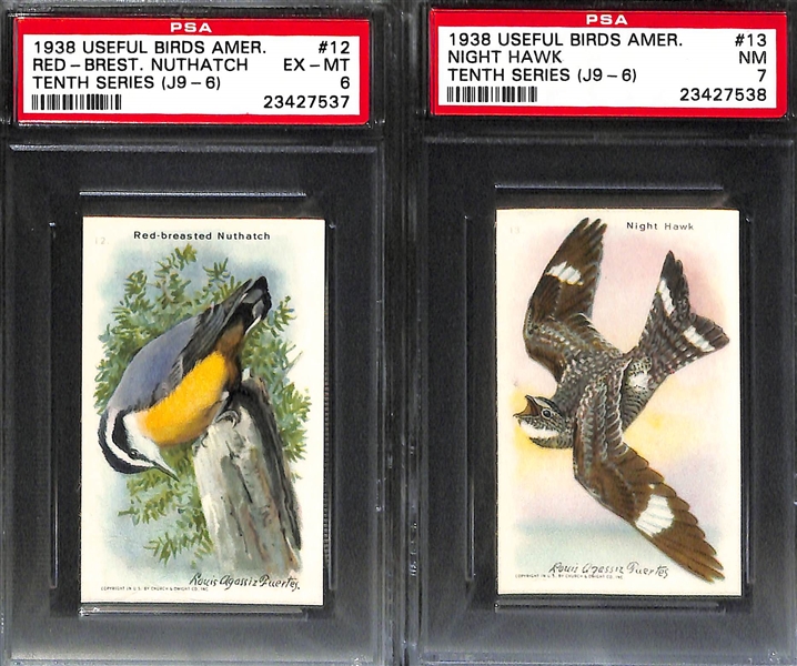 Lot of 9 1938 Useful Birds Of America PSA Graded Cards