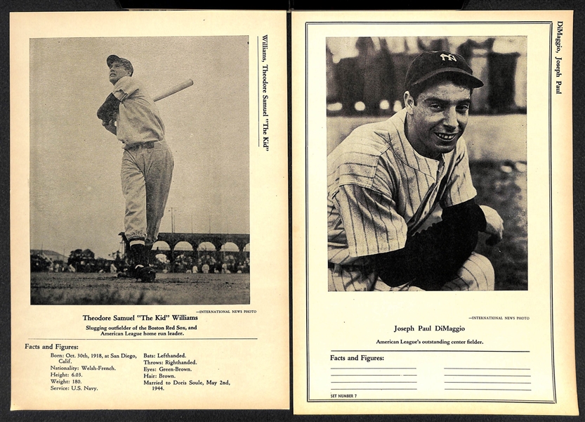 1946-49 W603 Sports Exchange Ted Williams & Joe DiMaggio 7x10 Photo Cards