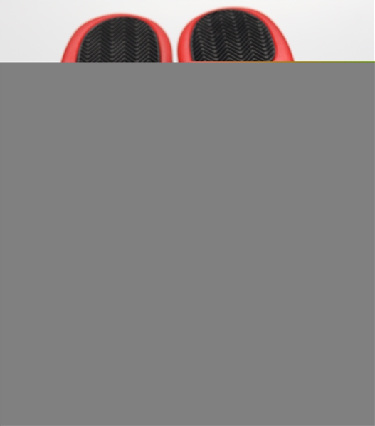 2016 Nike Air Jordan 12 Retro Flu Game - Size 13 (Jordan's Actual Size)