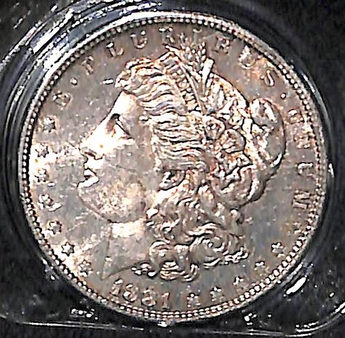 Lot of (10) Assorted Morgan Dollars w. 1881 S