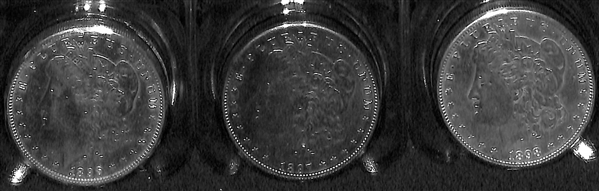 Lot of (10) Assorted Morgan Dollars w. 1881 S