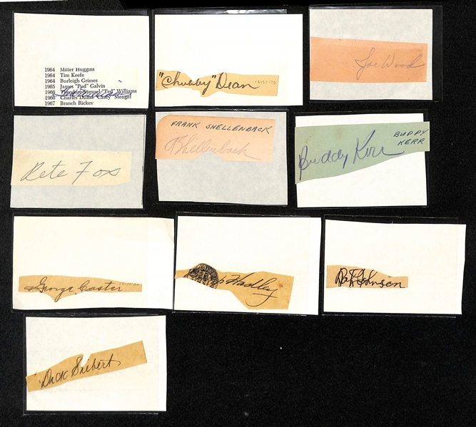 Lot of (10) Baseball Autograph Cuts w. Ted Williams (JSA Auction Letter)