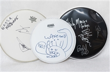 Lot of (3) Signed Drum Heads by Bands Garbage, Queens of the Stone Age, & Wayne Coyne from Flaming Lips (JSA Auction Letter)