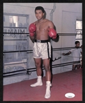 Muhammad Ali Signed 8"x10" Boxing Photo (Full JSA Letter of Authenticity)