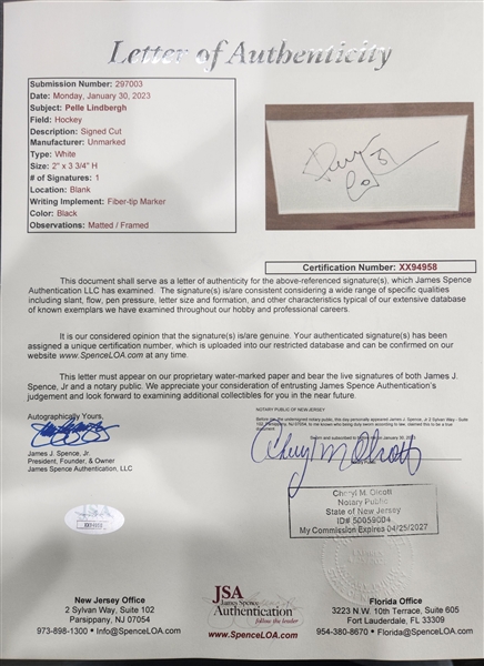 RARE Pelle Lindbergh Autographed/Signed Cut Matted and Framed  w. Full JSA Letter (17x14 Framed)