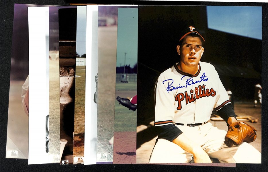 Lot of (9) 1950s Phillies Signed 8x10 Photos including (2) Robin Roberts, Ganny Hamner, Dal Ennis, and more (Beckett BAS Reviewed)